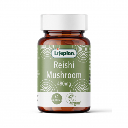 Reishi Mushroom x 60